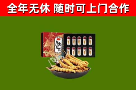 上饶烟酒回收冬虫夏草礼盒.jpg